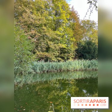 Le parc de l'Île Verte à Chatenay-Malabry - nos photos - image00550