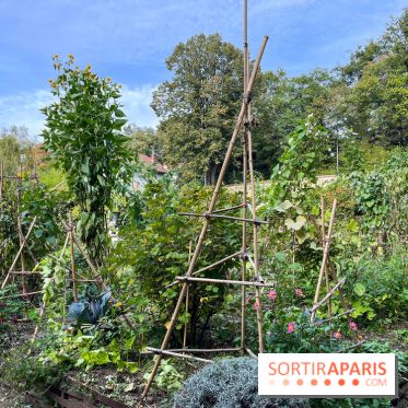 Le parc de l'Île Verte à Chatenay-Malabry - nos photos - image00539