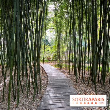 Le parc de l'Île Verte à Chatenay-Malabry - nos photos - image00540