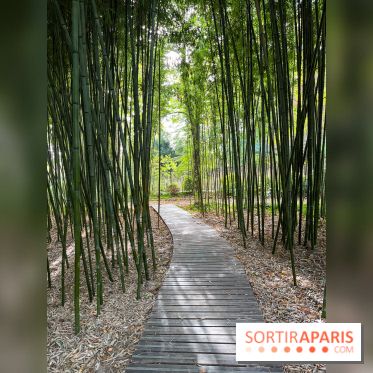 Le parc de l'Île Verte à Chatenay-Malabry - nos photos - image00541