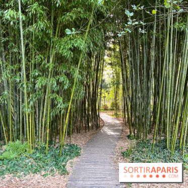 Le parc de l'Île Verte à Chatenay-Malabry - nos photos