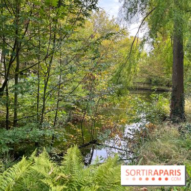 Le parc de l'Île Verte à Chatenay-Malabry - nos photos - image00544