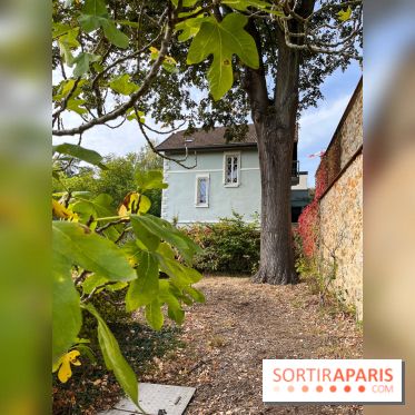 Le parc de l'Île Verte à Chatenay-Malabry - nos photos - image00533