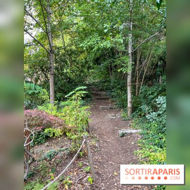 Le parc de l'Île Verte à Chatenay-Malabry - nos photos - image00521