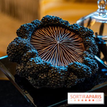 Bûche de Noël du Shangri-La Paris 2023 et galette des rois 2024  - A7C1794