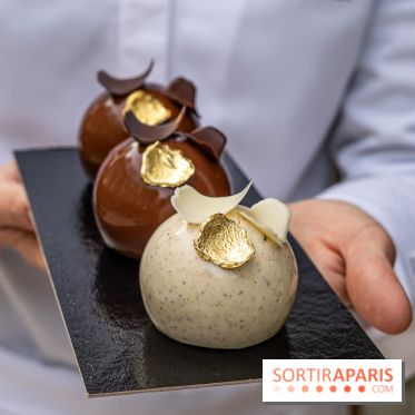 Bûche de Noël du Saint James 2023 par Jeanne Lacourt
