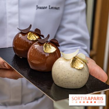 Bûche de Noël du Saint James 2023 par Jeanne Lacourt