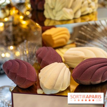 Bûches et créations de Noël du Ritz Paris par François Perret 2023  - A7C1832