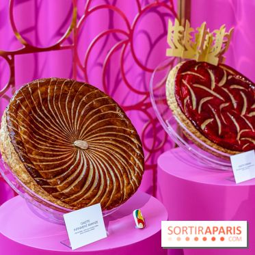 Les bûches de Noël 2023 et galettes 2024 de Pierre Hermé