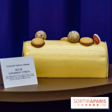 Les bûches de Noël 2023 et galettes 2024 de Pierre Hermé