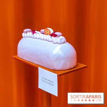 Les bûches de Noël 2023 et galettes 2024 de Pierre Hermé
