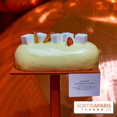 Les bûches de Noël 2023 et galettes 2024 de Pierre Hermé