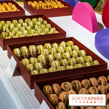 Les bûches de Noël 2023 et galettes 2024 de Pierre Hermé