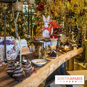 Bûches de Noël 2023 et galette 2024 de Lenôtre  - A7C0838