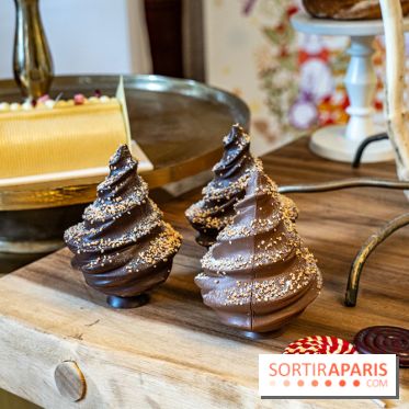 Bûches de Noël 2023 et galette 2024 de Lenôtre  - A7C0849