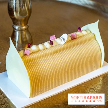 Bûches de Noël 2023 et galette 2024 de Lenôtre  - A7C0851