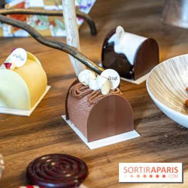 Bûches de Noël 2023 et galette 2024 de Lenôtre  - A7C0853