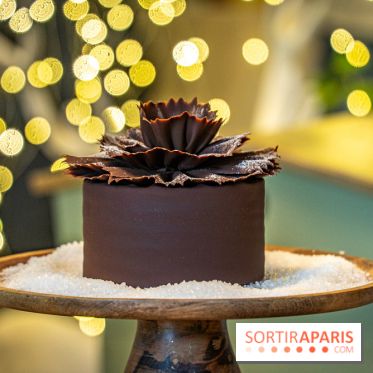 Bûches de Noël 2023 et galette 2024 de Lenôtre  - A7C0861