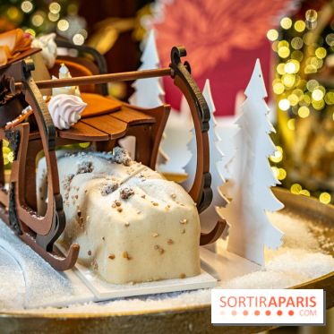 Bûches de Noël 2023 et galette 2024 de Lenôtre  - A7C0866