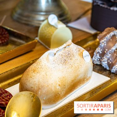 Bûches de Noël 2023 et galette 2024 de Lenôtre  - A7C0873
