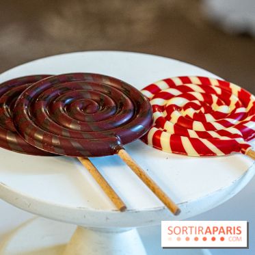 Bûches de Noël 2023 et galette 2024 de Lenôtre  - A7C0881