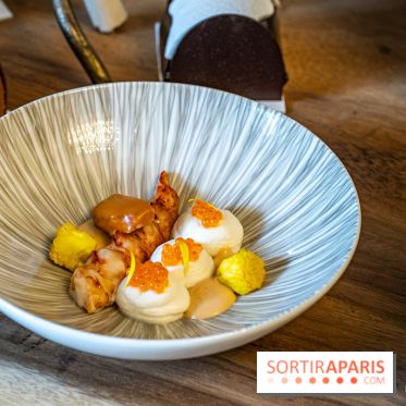 Bûches de Noël 2023 et galette 2024 de Lenôtre  - A7C0892