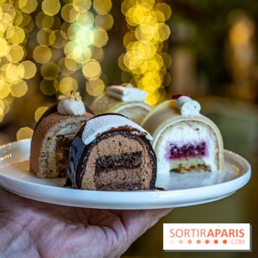 Bûches de Noël 2023 et galette 2024 de Lenôtre  - A7C0893