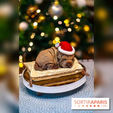 Bûche de Noël du Lutetia 2023 et galette des rois 2024 par Nicolas Guercio  - A7C0673