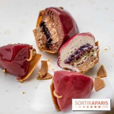 Bûche de Noël 2023 et galette 2024 du Park Hyatt par Narae Kim - A7C4233