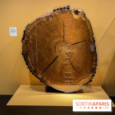 Explorer l'infiniment - nos photos de l'exposition au musée des Arts et Métiers