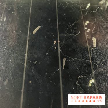 Explorer l'infiniment - nos photos de l'exposition au musée des Arts et Métiers - image00007