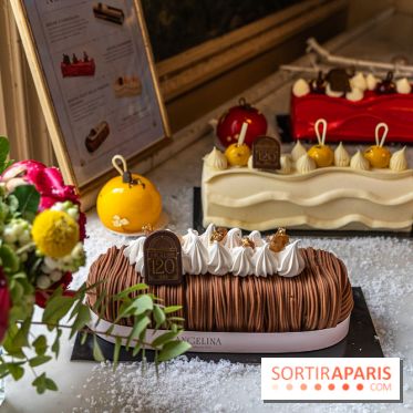 Bûche de Noël d'Angelina 2023 - A7C0408