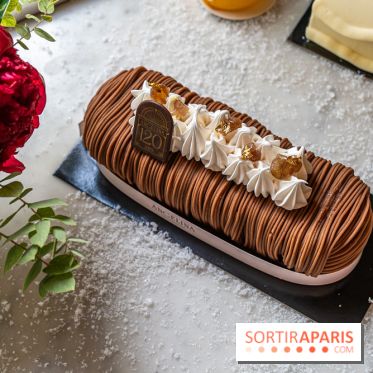 Bûche de Noël d'Angelina 2023 - A7C0410