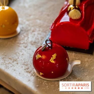 Bûche de Noël d'Angelina 2023 - A7C0415