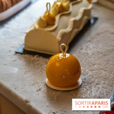 Bûche de Noël d'Angelina 2023 - A7C0416