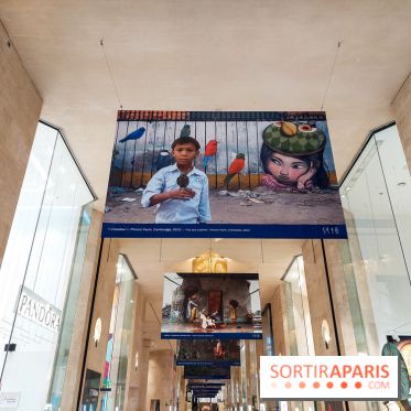 Seth se fait la malle à Paris, nos photos - 20231024 165330