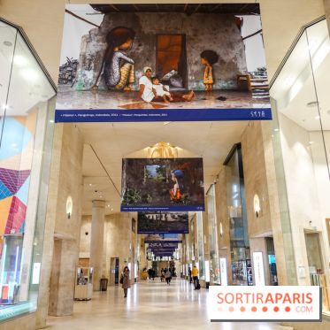 Seth se fait la malle à Paris, nos photos - DSC03324