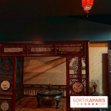 Red Poppy - IMG 6200