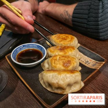 Red Poppy - IMG 6229