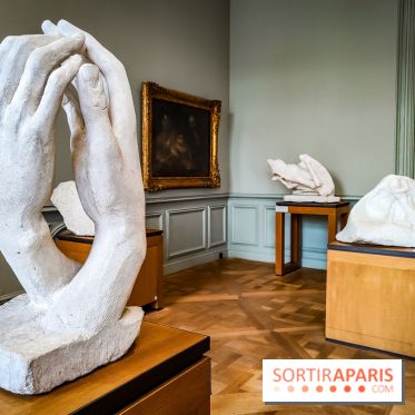 Le Musée Rodin, ses collections et son jardin