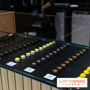 Salon du Chocolat de Paris 2023 - les photos -  A7C5112