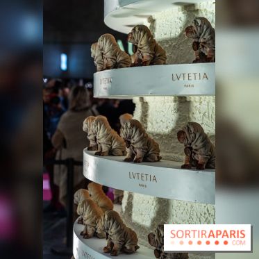 Salon du Chocolat de Paris 2023 - les photos