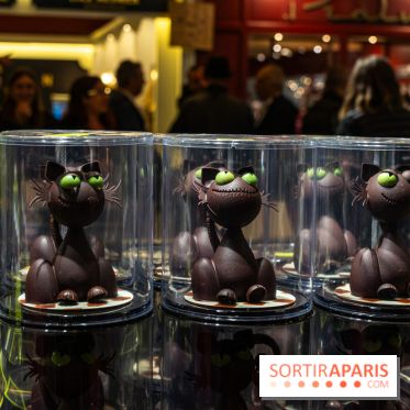 Salon du Chocolat de Paris 2023 - les photos -  A7C6001