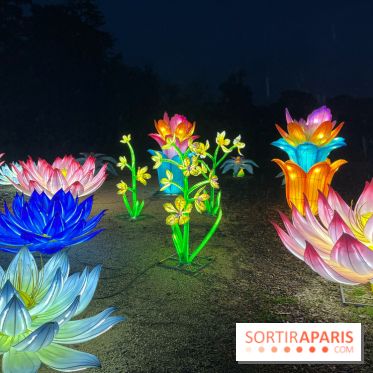 Thoiry Lumières Sauvages 2023 - 2024 - IMG 6285