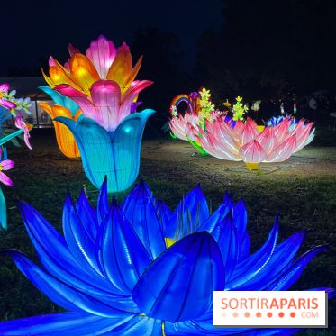 Thoiry Lumières Sauvages 2023 - 2024 - IMG 6288