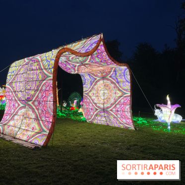 Thoiry Lumières Sauvages 2023 - 2024 - IMG 6290