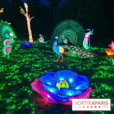 Thoiry Lumières Sauvages 2023 - 2024 - IMG 6293