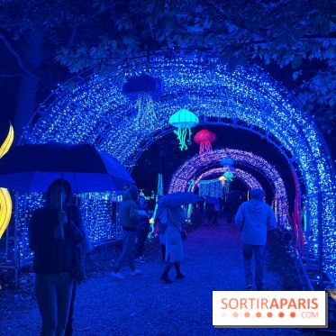 Thoiry Lumières Sauvages 2023 - 2024 - IMG 6296