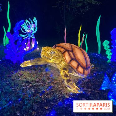 Thoiry Lumières Sauvages 2023 - 2024 - IMG 6302