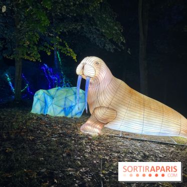 Thoiry Lumières Sauvages 2023 - 2024 - IMG 6307